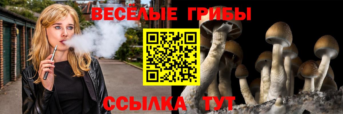 Экстази  Марихуана  NBOMe  Вход с VPN  ГАШ  Мценск  Мефедрон  